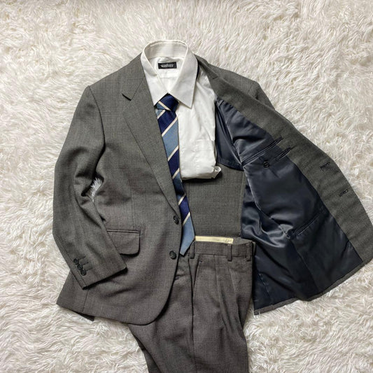 Men's suit set up gray mesh